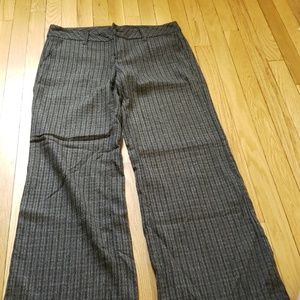Dressy trouser pants